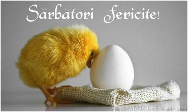 Sarbatori Fericite!